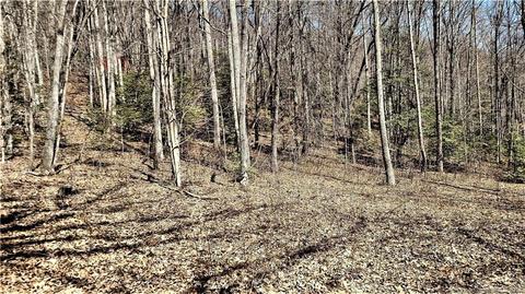 0000 Parchment 5-4 Ln #5-4, Sylva, NC 28779
