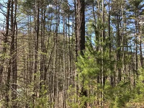 2393 Blanton Branch Rd, Sylva, NC 28779 photo 8
