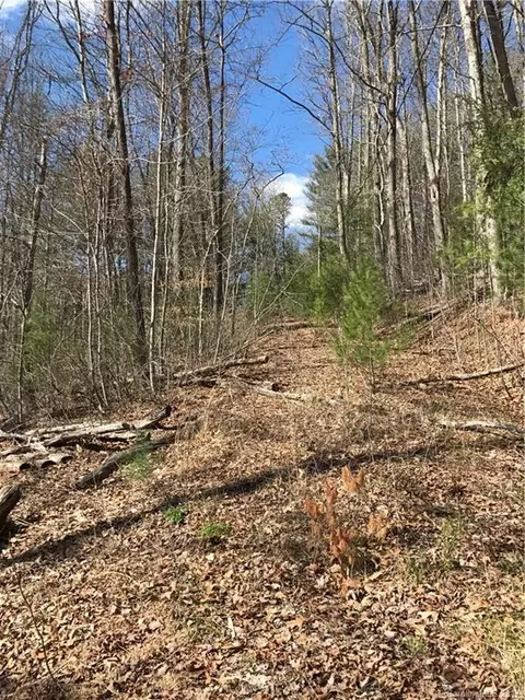 2393 Blanton Branch Rd, Sylva, NC 28779 photo 6