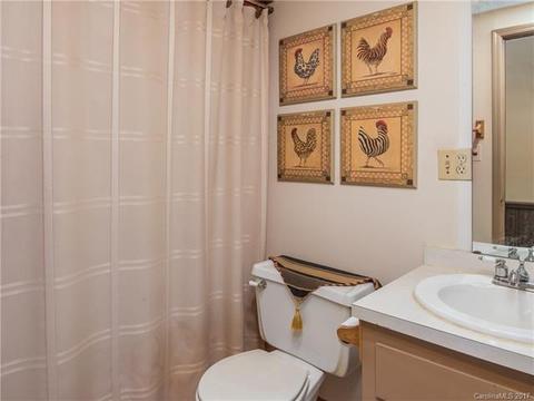 689 John Shehan Rd, Tryon, NC 28782 photo 20