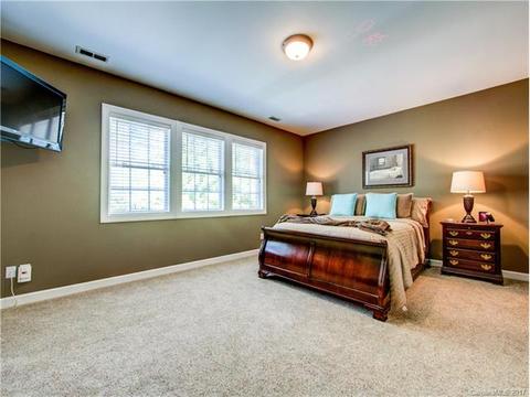 18744 Dembridge Dr, Davidson, NC 28036 photo 19