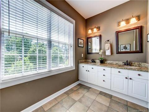18744 Dembridge Dr, Davidson, NC 28036 photo 17
