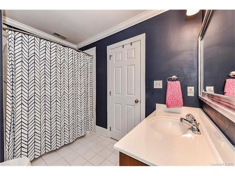 18706 River Ford Dr, Davidson, NC 28036 photo 17