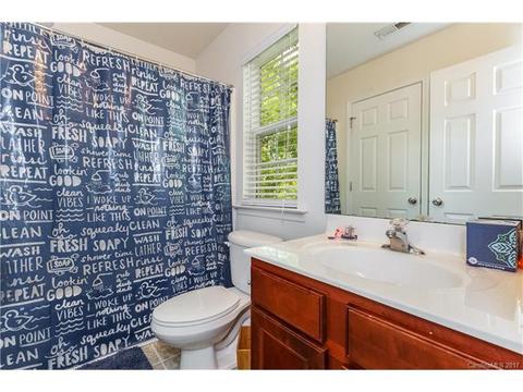 15528 Crossing Gate Dr, Cornelius, NC 28031 photo 16