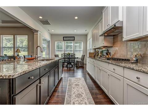 1036 Torrens Dr, Wesley Chapel, NC 28110 photo 12