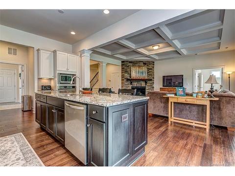 1036 Torrens Dr, Wesley Chapel, NC 28110 photo 11
