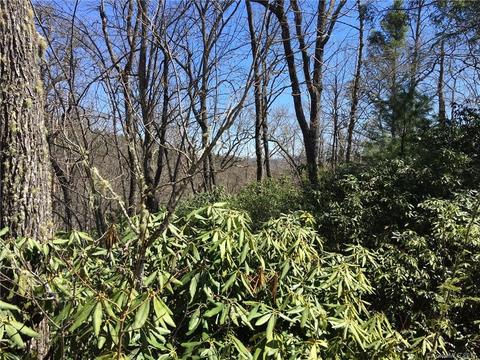 M80 Pine Mountain Trail #M80, Brevard, NC 28712