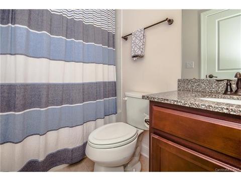 117 Chaska Loop, Troutman, NC 28166 photo 19