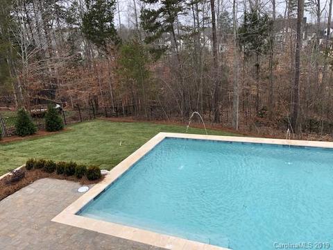 17536 Stuttgart Rd, Davidson, NC 28036 photo 6