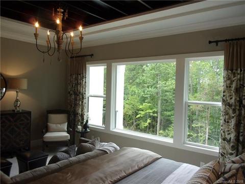 17536 Stuttgart Rd, Davidson, NC 28036 photo 27