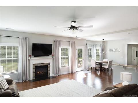 10033 Travertine Trl, Davidson, NC 28036 photo 8