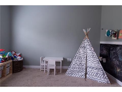 10033 Travertine Trl, Davidson, NC 28036 photo 17