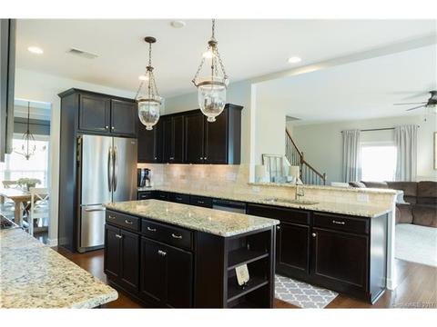 10033 Travertine Trl, Davidson, NC 28036 photo 5