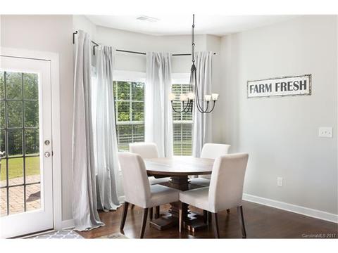 10033 Travertine Trl, Davidson, NC 28036 photo 6