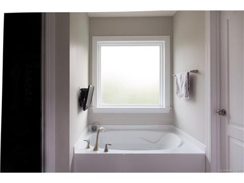 10033 Travertine Trl, Davidson, NC 28036 photo 12
