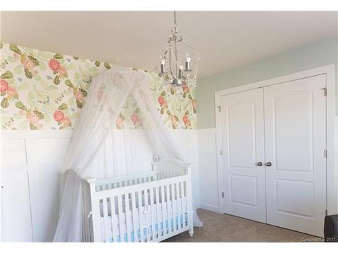 10033 Travertine Trl, Davidson, NC 28036 photo 16