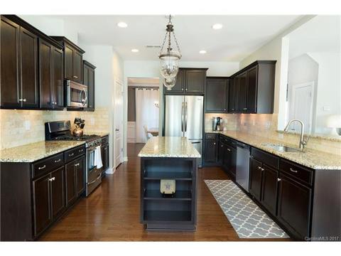 10033 Travertine Trl, Davidson, NC 28036 photo 4