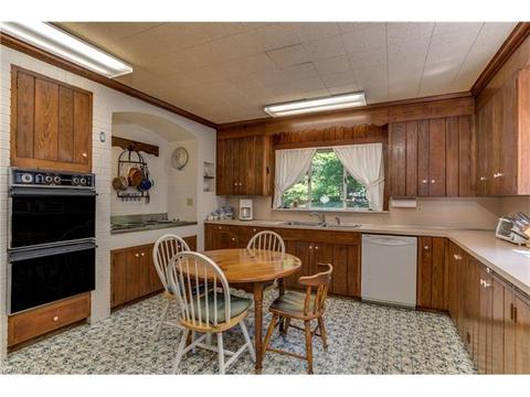 534 Howard Gap Rd, Tryon, NC 28782 photo 12