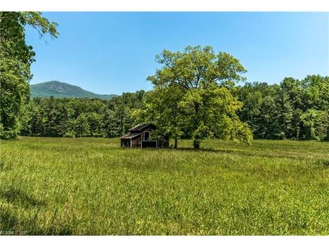534 Howard Gap Rd, Tryon, NC 28782 photo 25