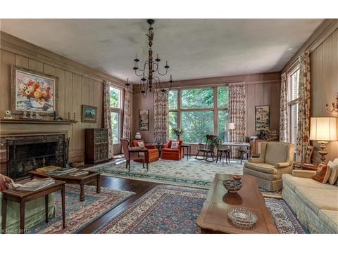 534 Howard Gap Rd, Tryon, NC 28782 photo 9