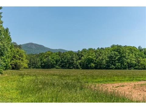 534 Howard Gap Rd, Tryon, NC 28782 photo 24
