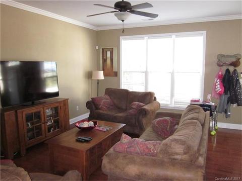 17360 Caldwell Rush Cir, Cornelius, NC 28031 photo 5