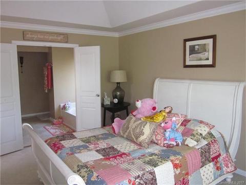 17360 Caldwell Rush Cir, Cornelius, NC 28031 photo 15