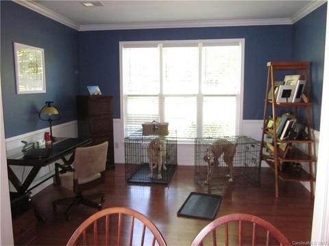 17360 Caldwell Rush Cir, Cornelius, NC 28031 photo 12