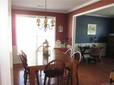 17360 Caldwell Rush Cir, Cornelius, NC 28031 photo 11