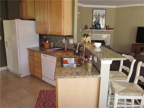 17360 Caldwell Rush Cir, Cornelius, NC 28031 photo 8
