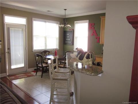 17360 Caldwell Rush Cir, Cornelius, NC 28031 photo 7