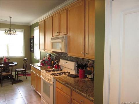 17360 Caldwell Rush Cir, Cornelius, NC 28031 photo 10