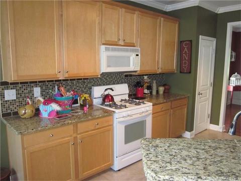 17360 Caldwell Rush Cir, Cornelius, NC 28031 photo 9