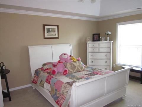 17360 Caldwell Rush Cir, Cornelius, NC 28031 photo 14
