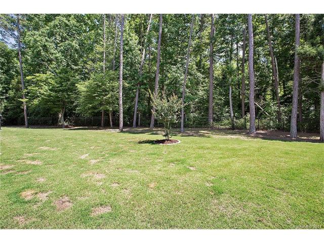 10651 Sapphire Trl, Davidson, NC 28036 photo 17