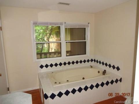 20710 Eastpoint Dr, Cornelius, NC 28031 photo 10