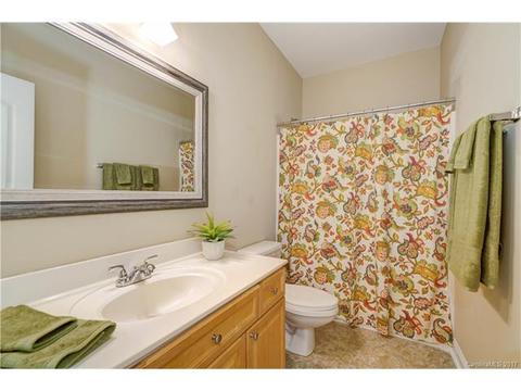 18736 Dembridge Dr, Davidson, NC 28036 photo 14