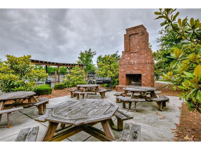 10938 Kingsview Dr, Davidson, NC 28036 photo 22