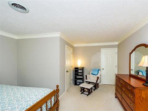 162 Chickadee Ln, Brevard, NC 28712 photo 16