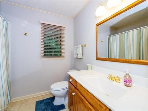 162 Chickadee Ln, Brevard, NC 28712 photo 19