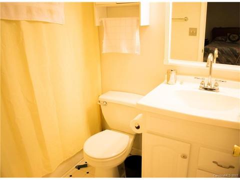 1584 Brook Ln, Denver, NC 28037 photo 9