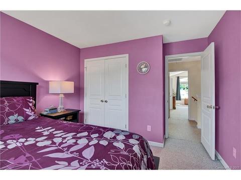 3147 Tanzanite Cir, Fort Mill, SC 29708 photo 21