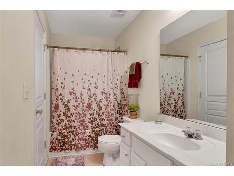 3147 Tanzanite Cir, Fort Mill, SC 29708 photo 19