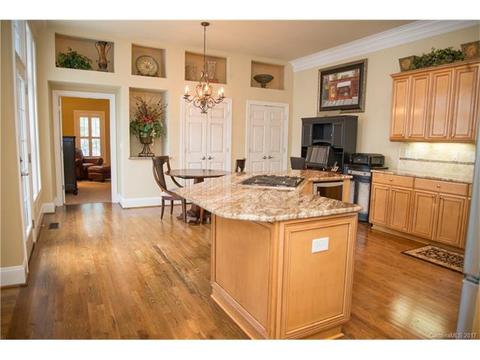 450 Ohenry Ave, Davidson, NC 28036 photo 9