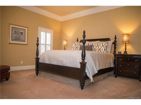 450 Ohenry Ave, Davidson, NC 28036 photo 14