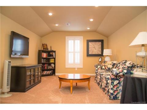 450 Ohenry Ave, Davidson, NC 28036 photo 22