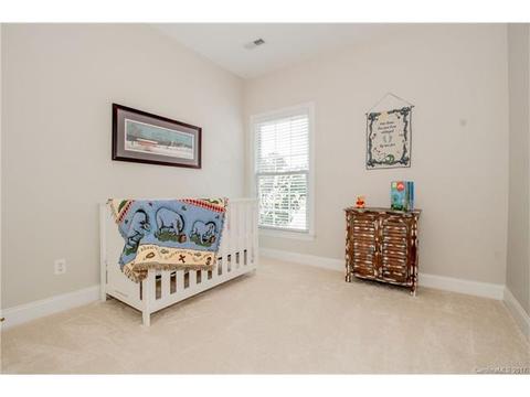 618 Lena Way, Fort Mill, SC 29708 photo 20