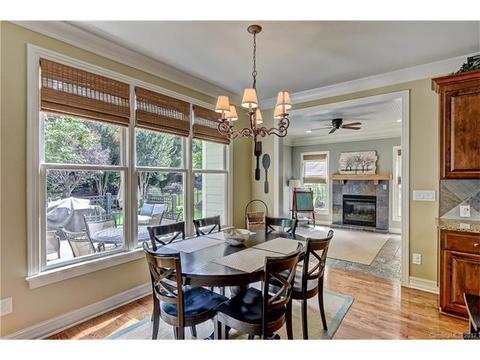 13235 Robert Walker Dr, Davidson, NC 28036 photo 10