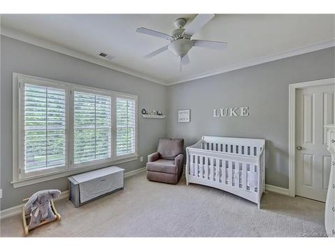 13235 Robert Walker Dr, Davidson, NC 28036 photo 19