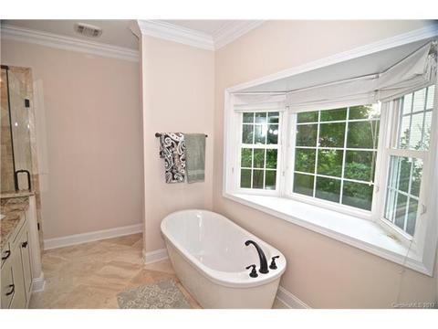 19238 Dutch Iris Ln, Cornelius, NC 28031 photo 19